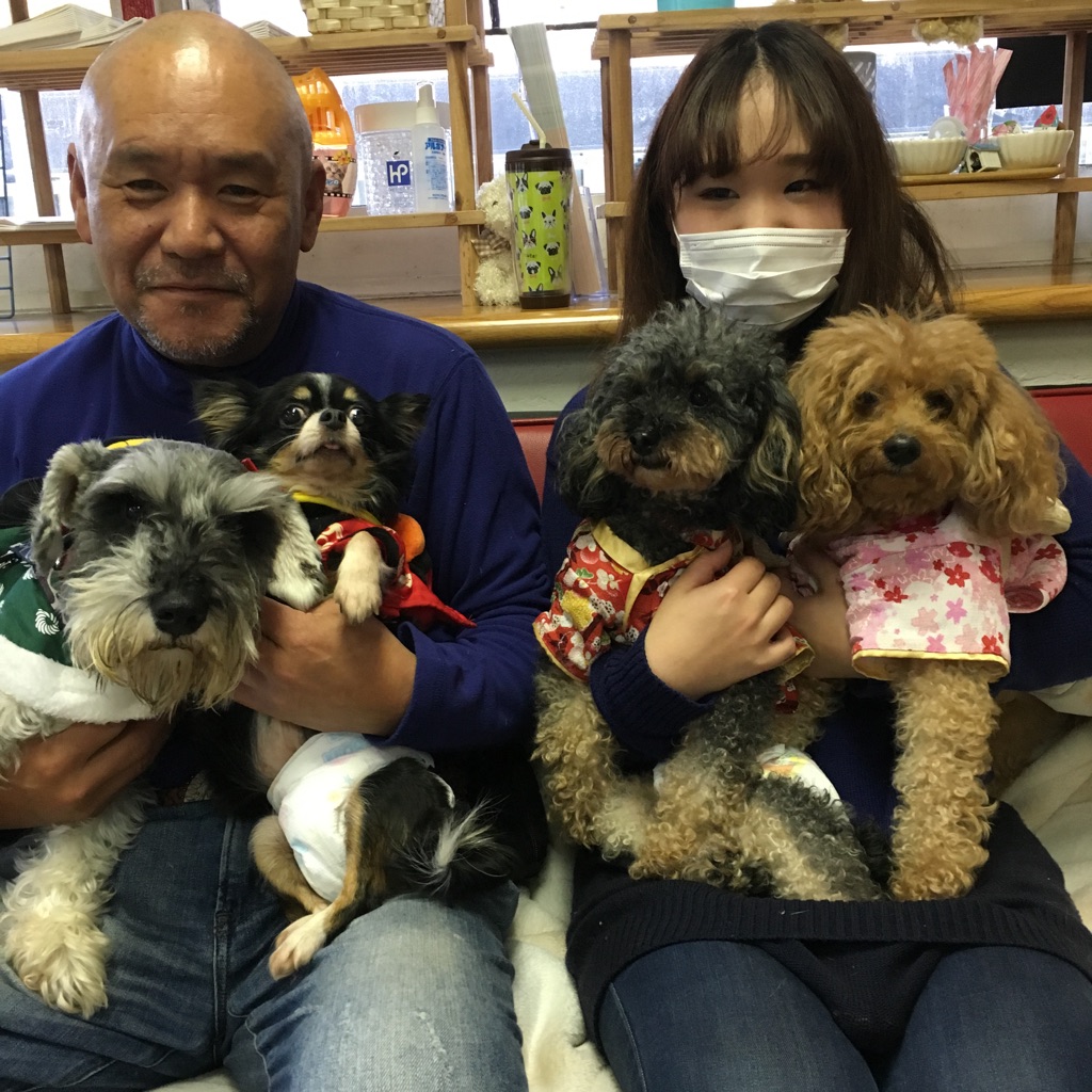 【今日の里帰りワンコ🐶Ｍシュナウザーのマハロ君💕】Ｎｏ２